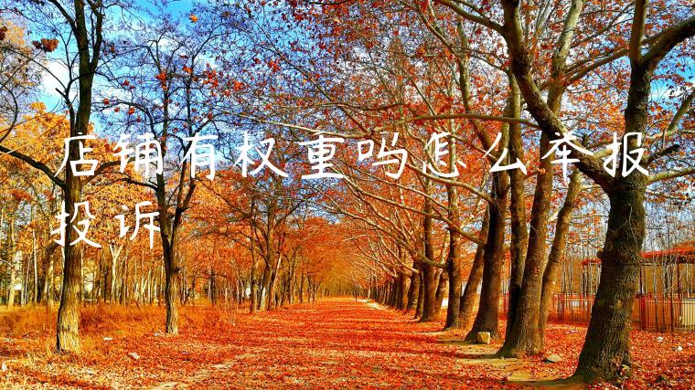 店铺有权重吗怎么举报投诉