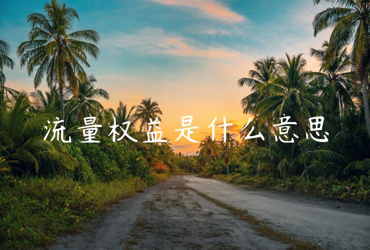 流量权益是什么意思