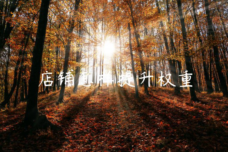 店铺怎样提升权重 店铺怎样提升权重