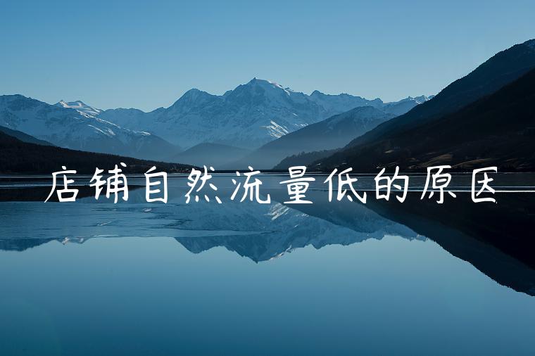 店铺自然流量低的原因 店铺自然流量低的原因