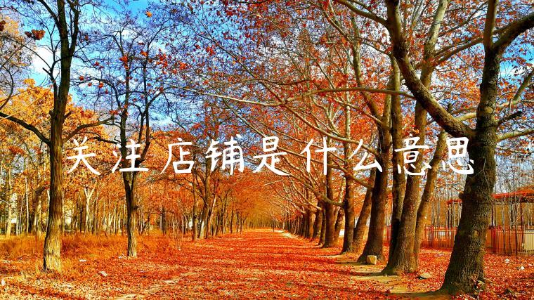 关注店铺是什么意思