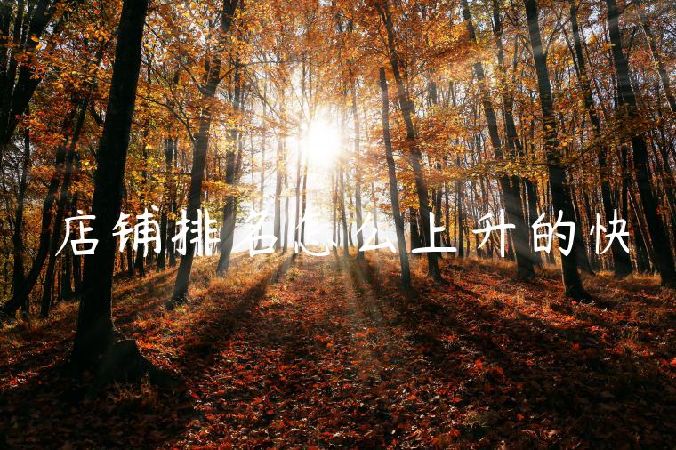 店铺排名怎么上升的快