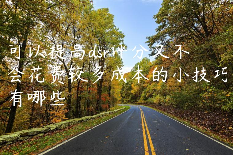 可以提高dsr评分又不会花费较多成本的小技巧有哪些