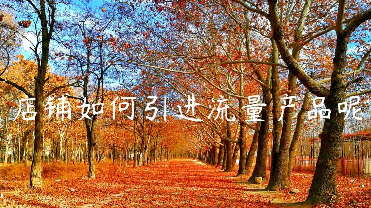 店铺如何引进流量产品呢