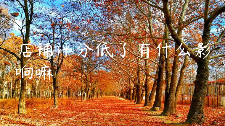 店铺评分低了有什么影响嘛