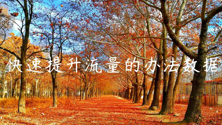 快速提升流量的办法数据