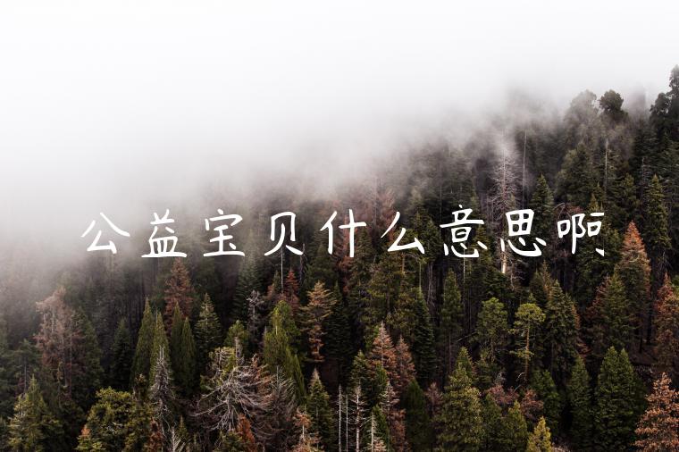 公益宝贝什么意思啊