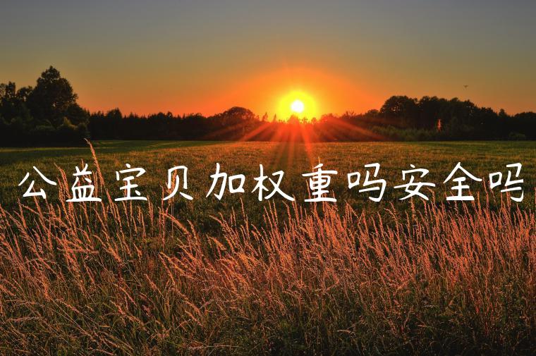 公益宝贝加权重吗安全吗