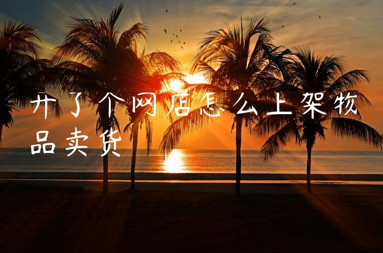 开了个网店怎么上架物品卖货