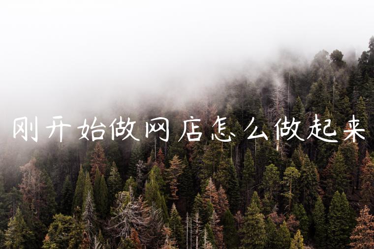 刚开始做网店怎么做起来