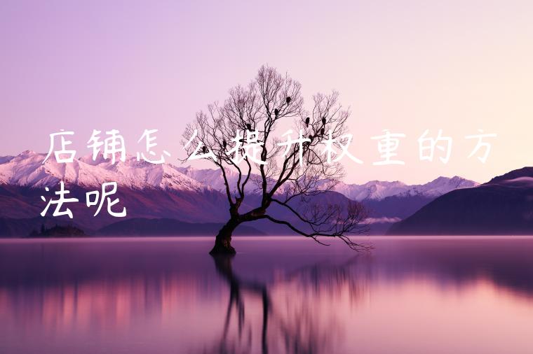 店铺怎么提升权重的方法呢 店铺怎么提升权重的方法呢