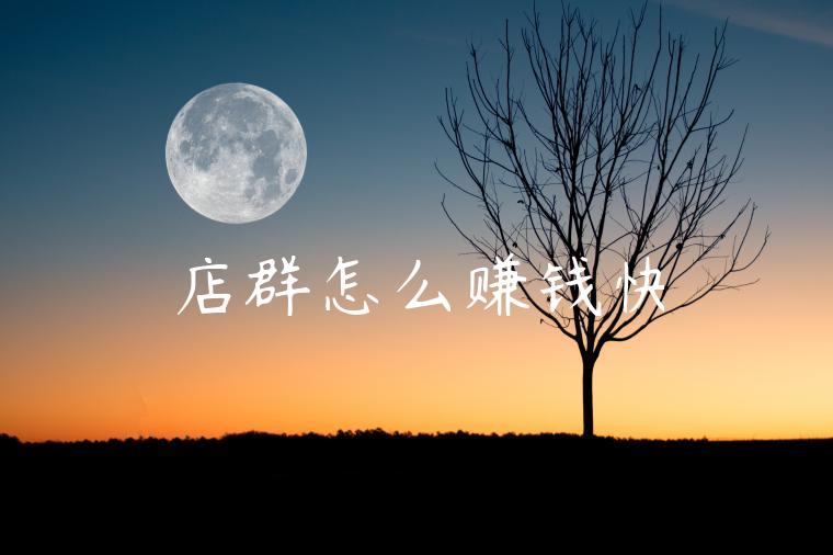 店群怎么赚钱快