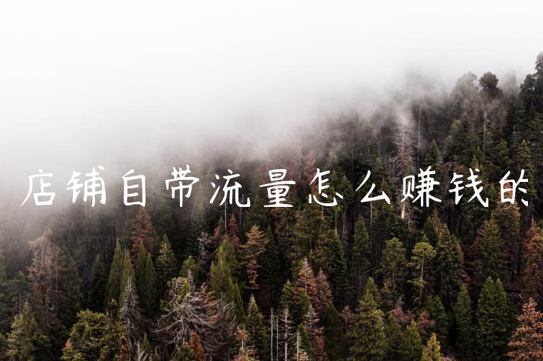 店铺自带流量怎么赚钱的 店铺自带流量怎么赚钱的
