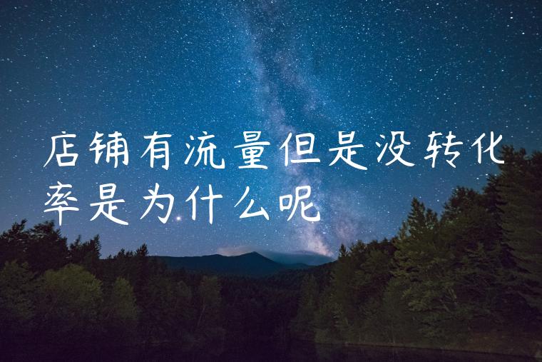 店铺有流量但是没转化率是为什么呢