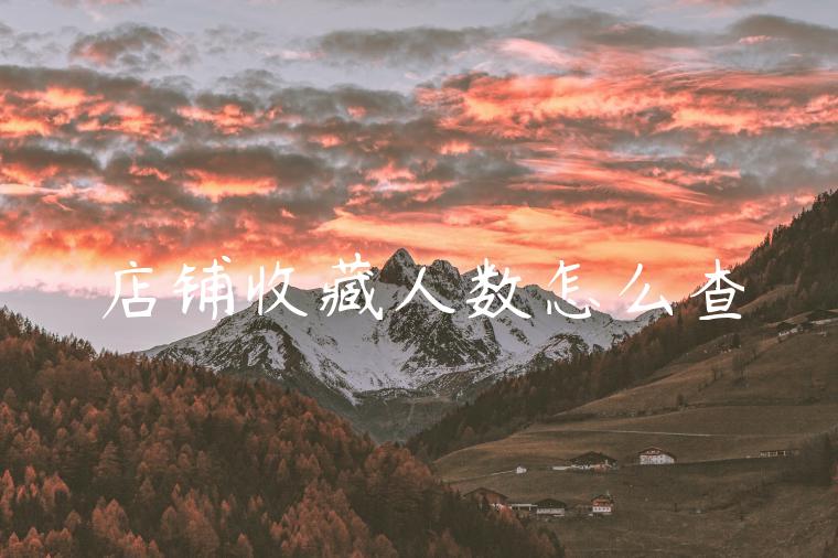 店铺收藏人数怎么查 店铺收藏人数怎么查