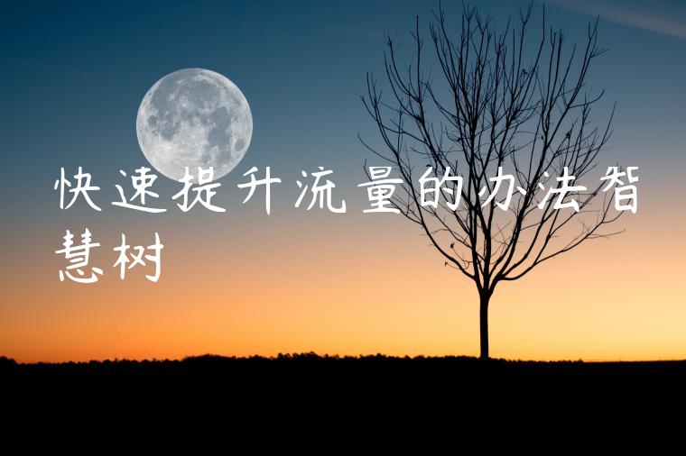 快速提升流量的办法智慧树