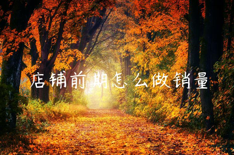 店铺前期怎么做销量