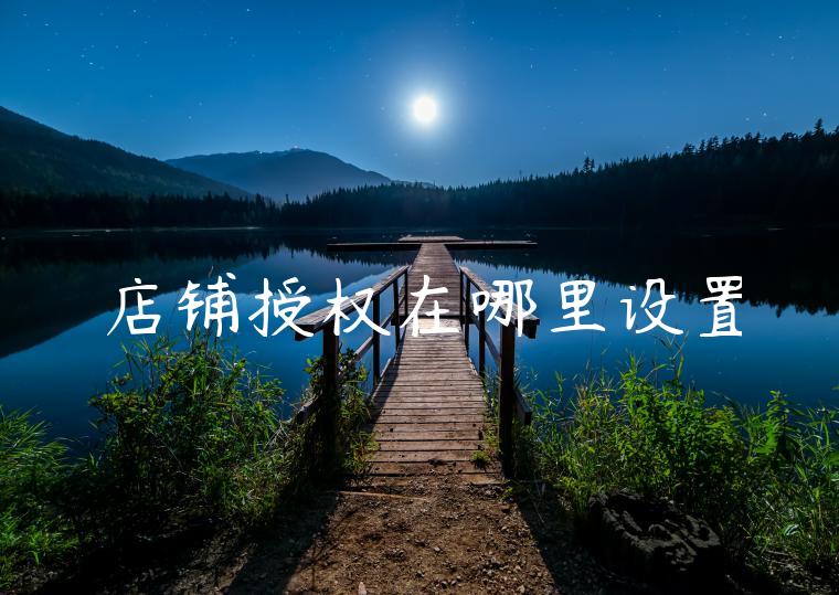 店铺授权在哪里设置 店铺授权在哪里设置