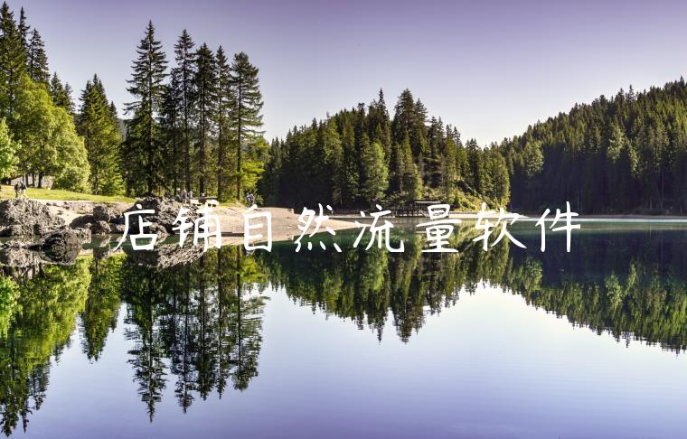 店铺自然流量软件