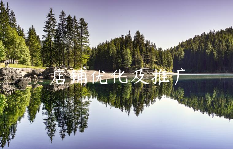 店铺优化及推广 店铺优化及推广