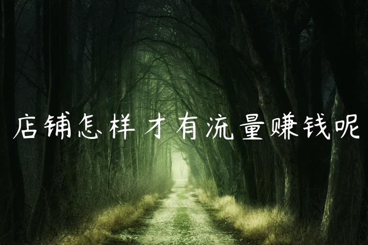 店铺怎样才有流量赚钱呢