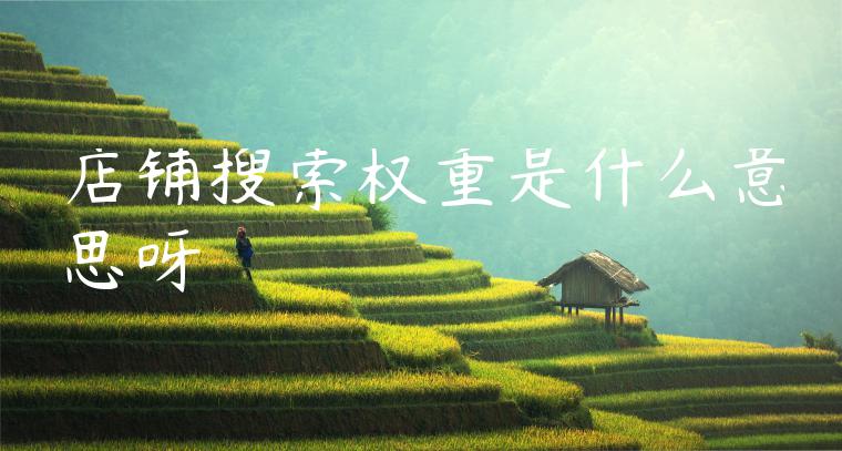 店铺搜索权重是什么意思呀