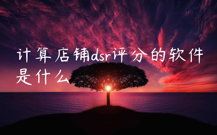 计算店铺dsr评分的软件是什么 计算店铺dsr评分的软件是什么