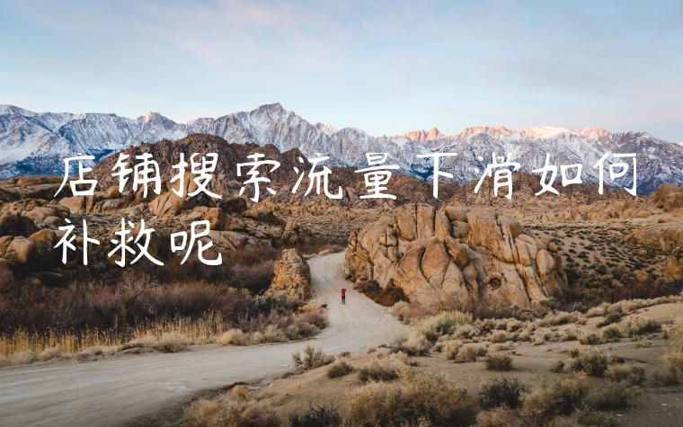 店铺搜索流量下滑如何补救呢