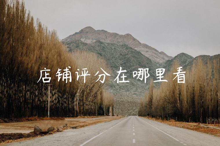 店铺评分在哪里看