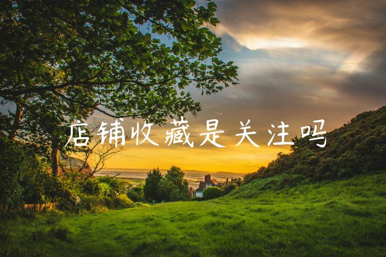 店铺收藏是关注吗