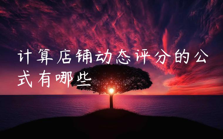 计算店铺动态评分的公式有哪些