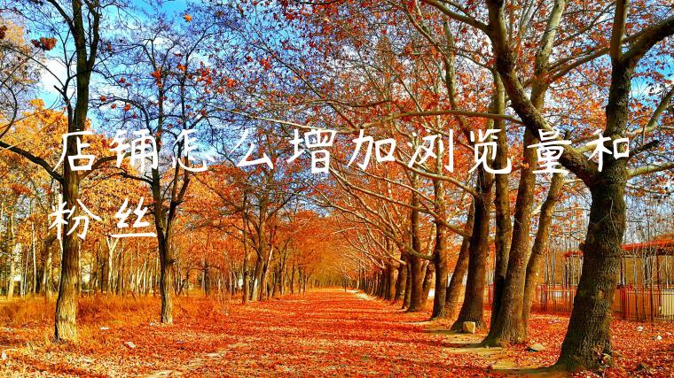 店铺怎么增加浏览量和粉丝 店铺怎么增加浏览量和粉丝