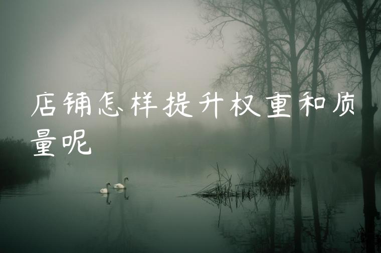 店铺怎样提升权重和质量呢 店铺怎样提升权重和质量呢