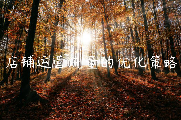 店铺运营流量的优化策略