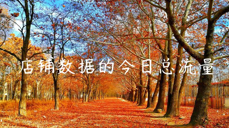 店铺数据的今日总流量 店铺数据的今日总流量