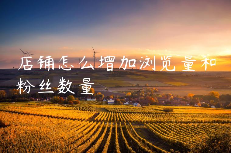 店铺怎么增加浏览量和粉丝数量 店铺怎么增加浏览量和粉丝数量