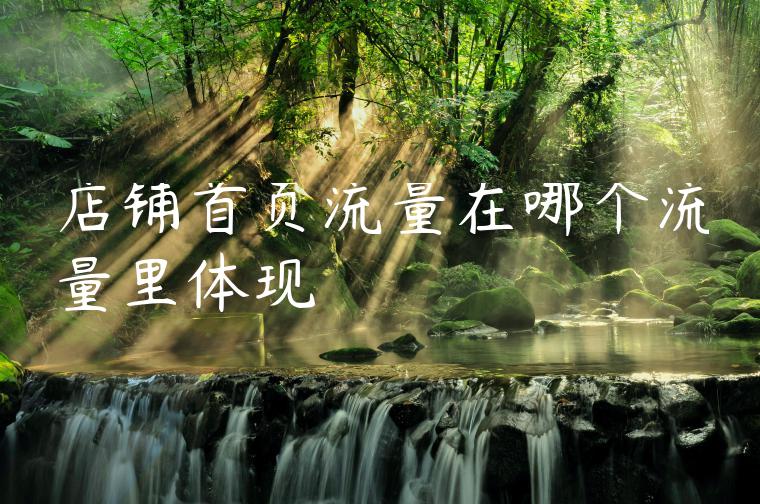店铺首页流量在哪个流量里体现