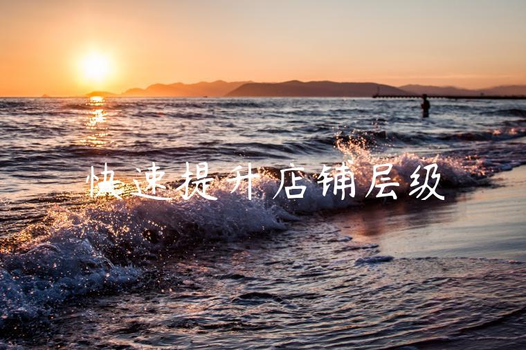 快速提升店铺层级 快速提升店铺层级