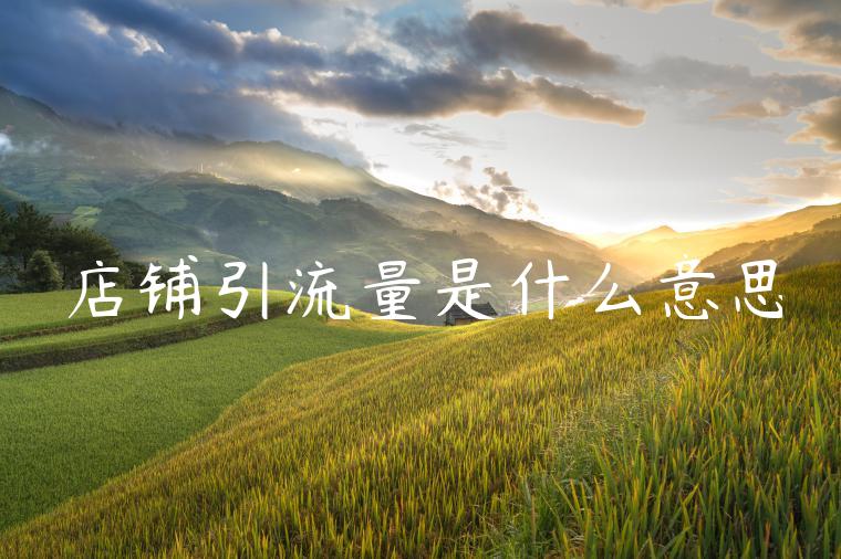 店铺引流量是什么意思