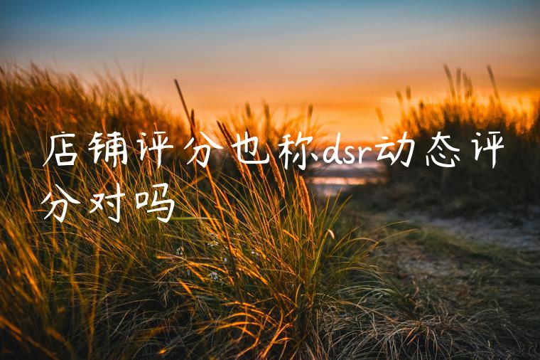店铺评分也称dsr动态评分对吗