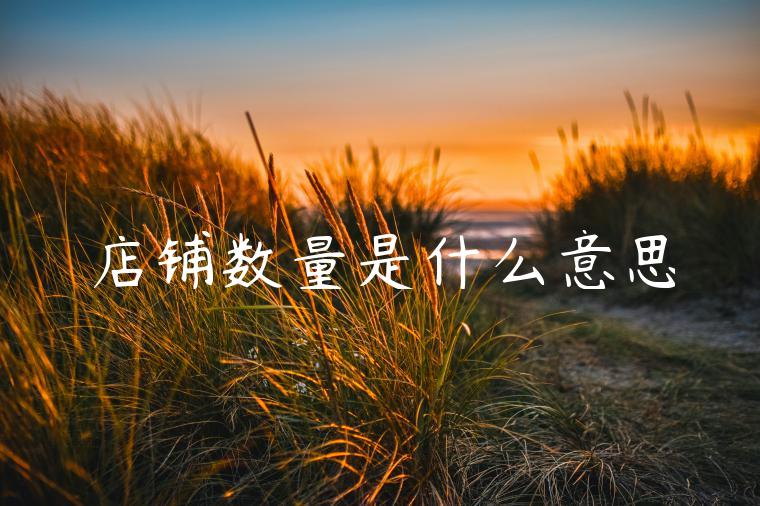 店铺数量是什么意思