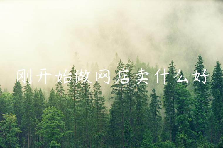 刚开始做网店卖什么好