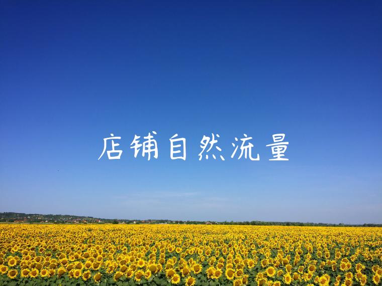 店铺自然流量