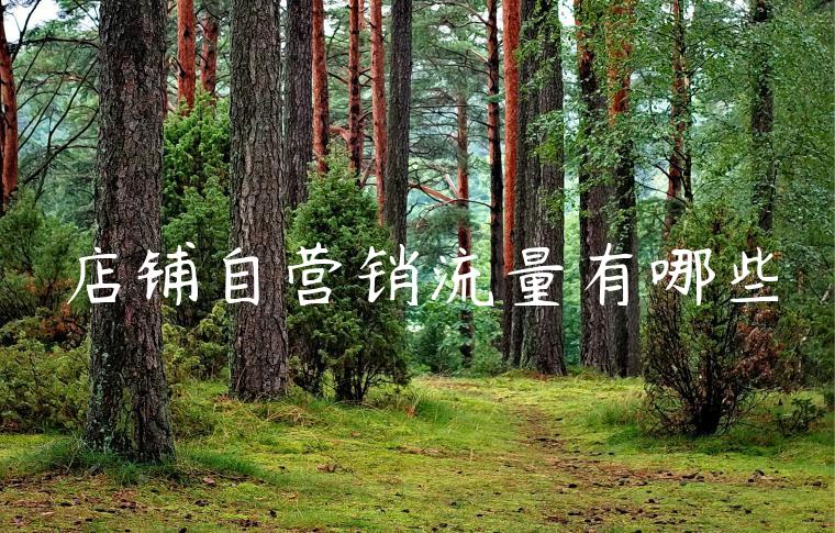 店铺自营销流量有哪些 店铺自营销流量有哪些