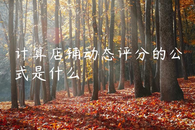 计算店铺动态评分的公式是什么