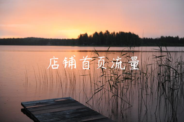店铺首页流量