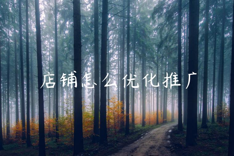 店铺怎么优化推广