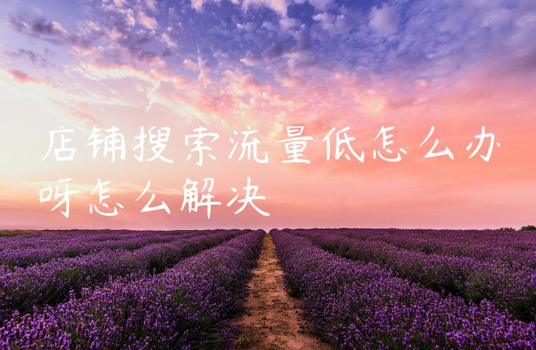 店铺搜索流量低怎么办呀怎么解决