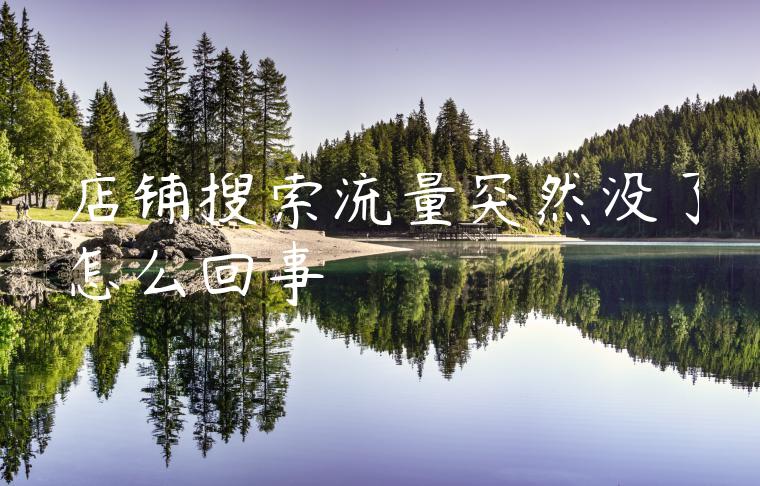 店铺搜索流量突然没了怎么回事 店铺搜索流量突然没了怎么回事