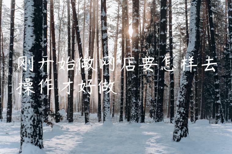 刚开始做网店要怎样去操作才好做